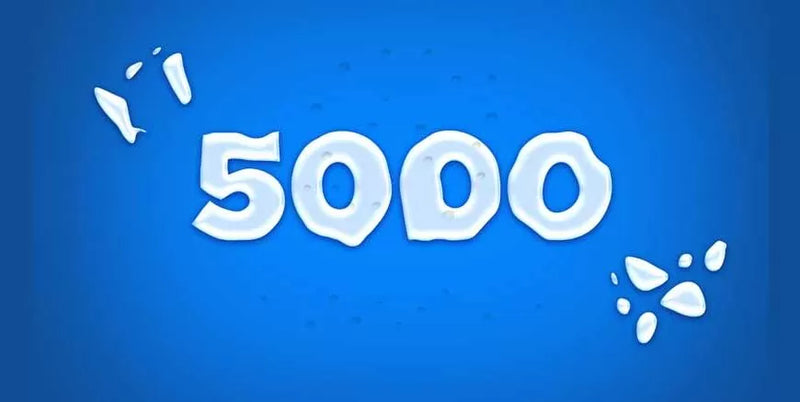 Under 5000