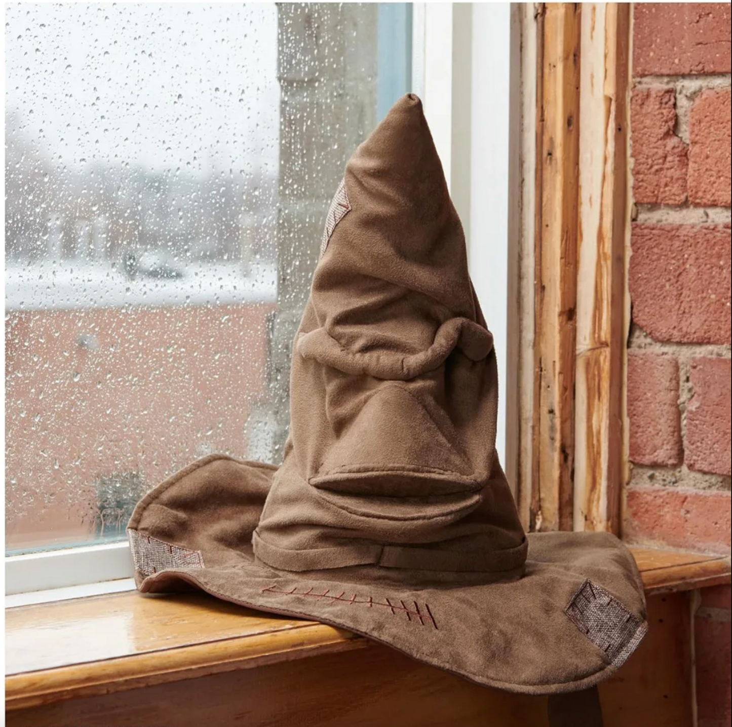Harry Potter Talking Sorting Hat