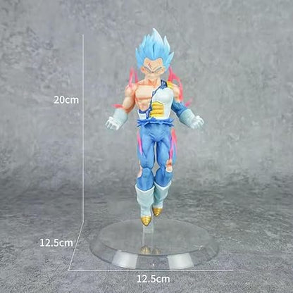 Dragon Ball Super Saiyan Blue Vegeta Battle Damaged Action Figure Toy with Display Stand(Height-20 Cm)