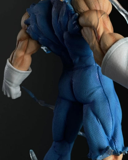 Vegeta Super Saiyan Blue Action Figure – Dragon Ball Z Power Surge Edition