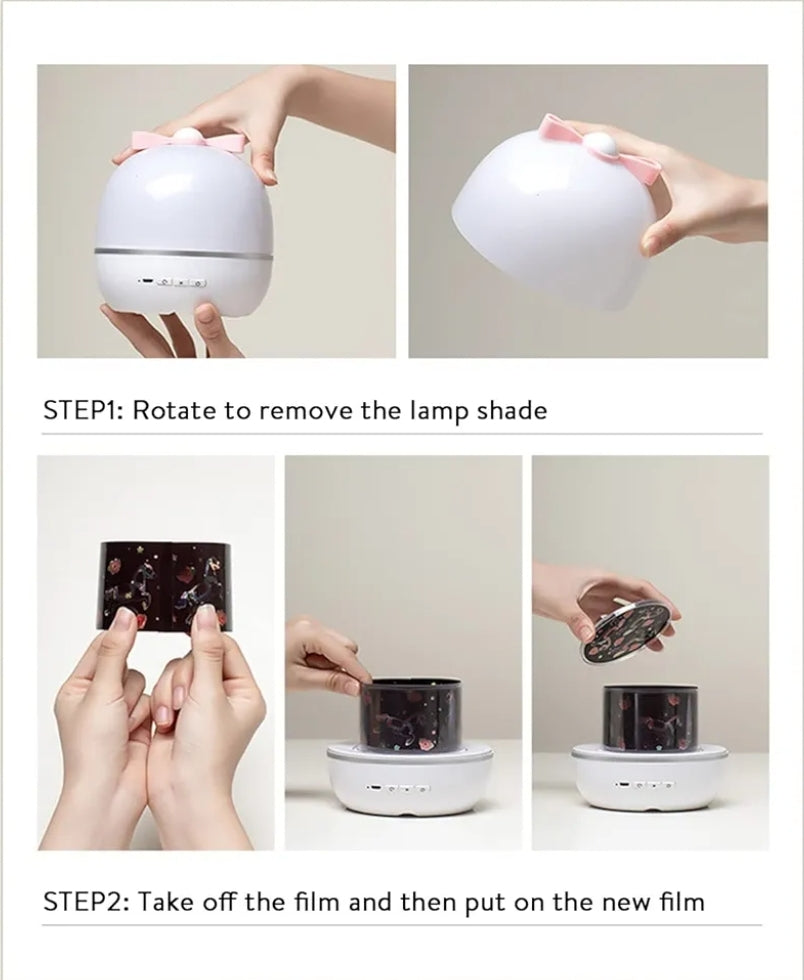Projector